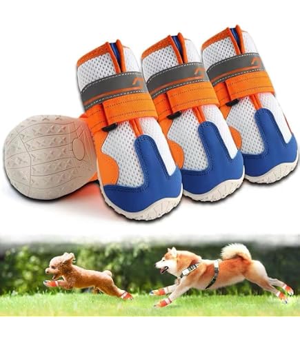 Amazon.co.jp: 犬用クロックス春夏レインブーツペット用品ゴールデン