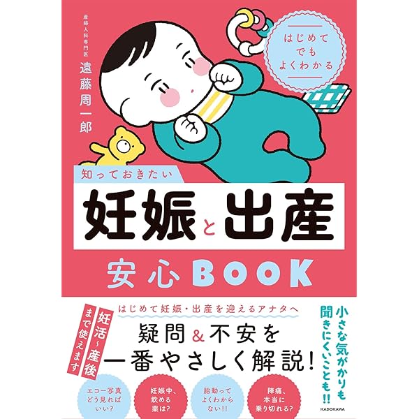 はじめてでもよくわかる 知っておきたい妊娠と出産安心BOOK | 遠藤