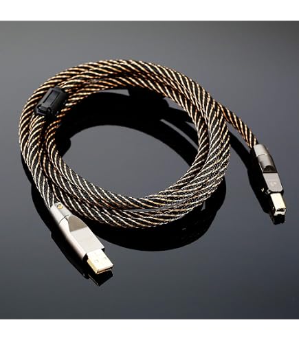 Amazon | WIREWORLD Chroma 8 USB 3.0 オーディオケーブル - A - B