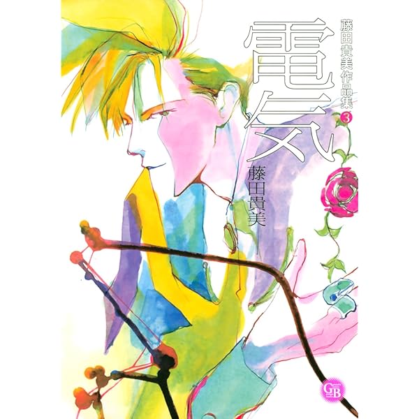 藤田貴美作品集 (1) 純情闘争 (幻冬舎コミックス漫画文庫