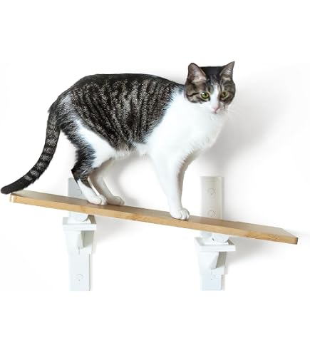 Amazon | 6個セット Cat-Kick 大型 ステップ 穴あけ不要 工具不要 本棚