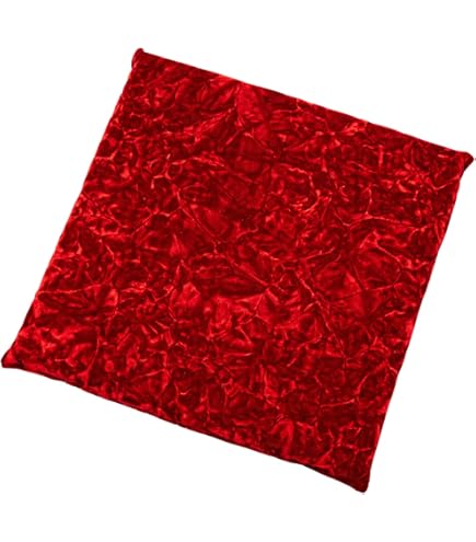 Amazon | 雅製 トラック用品 座布団(シートクッション) チンチラ