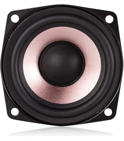Amazon.co.jp: Visaton BG17-8 6.5 Full-Range Speaker with Whizzer