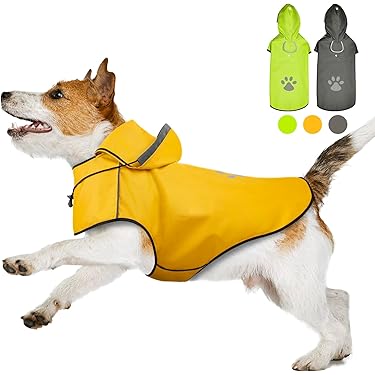 Amazon.co.jp 最新リリース: 犬用服・アクセサリ の新着ランキングです。