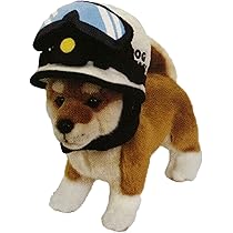 71NrLtEHpiL._AC_UL210_SR210,