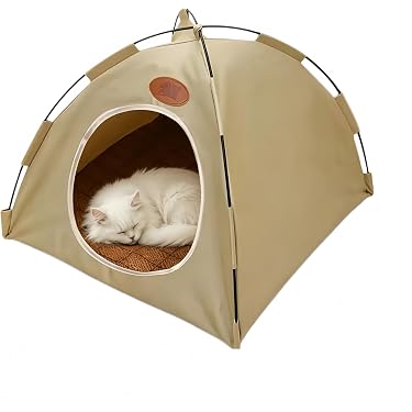Amazon.co.jp 最新リリース: 猫用ハウス の新着ランキングです。