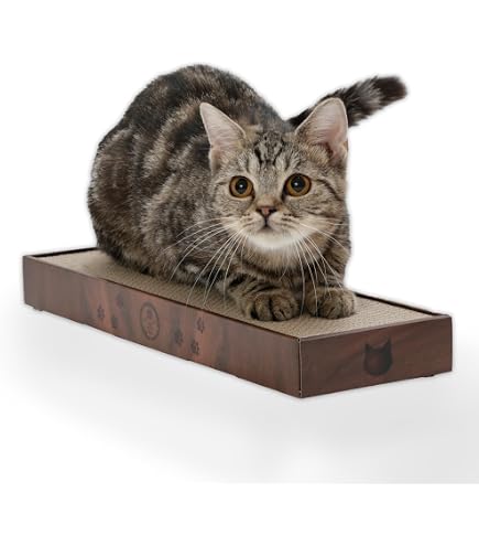 Amazon | リッチェル コロル 猫のツメみがき本体セット ベージュ