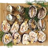 たっぷり海の幸を堪能！アワビ付海鮮ＢＢＱセット（アワビ4個サザエ4個大アサリ4個）[魚介類]