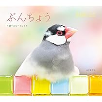 71Nvm9Pwd0L._AC_UL210_SR210,