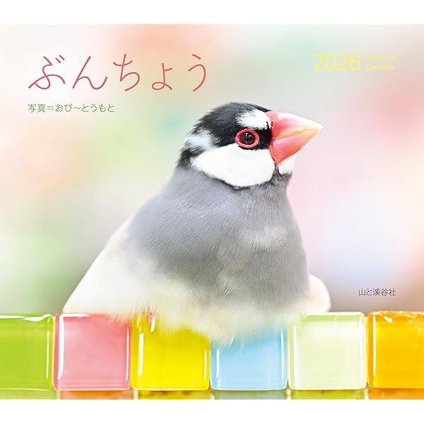 Amazon.co.jp: 文鳥・鳥写真カレンダー2026 B6サイズ。ワンタッチで
