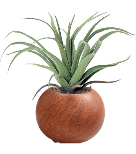 Amazon｜IKEA/イケア FEJKA/フェイカ：人工観葉植物 鉢カバー付き12 cm