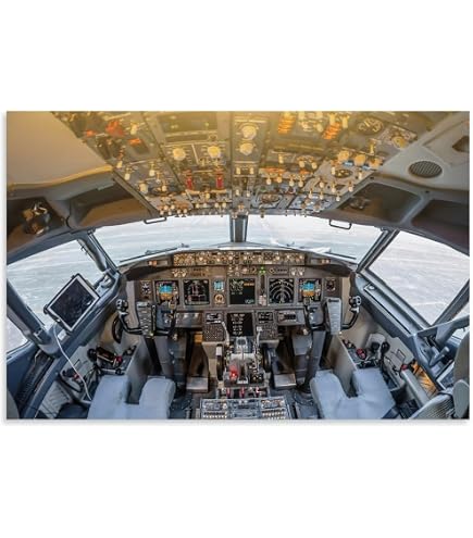Amazon.co.jp: 民間航空機 ジェット機 飛行機 コックピット ディテール