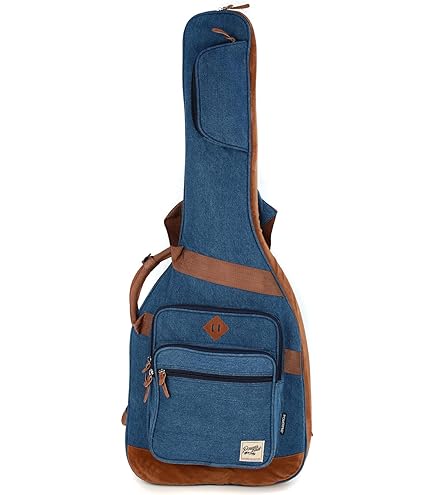 Amazon | RITTER RGA5‑E AROSA SBK Electric Guitar エレキ