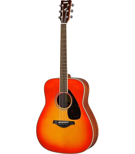 Amazon | James J-400AC ナチュラル エレアコギター ジェームス