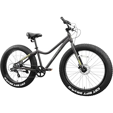 Amazon.co.jp 売れ筋ランキング: ファットバイク の中で最も人気のある