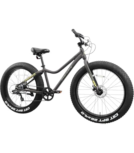 Amazon | ファットバイク TRINX(トリンクス) T109 26インチ 9段変速