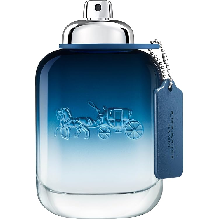 Amazon | COACH コーチ マン EDT 100mL(並行輸入品) | COACH