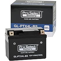 Amazon | ProSelect(プロセレクト) バイク GL-PTX4L-BS ナノ・ジェル