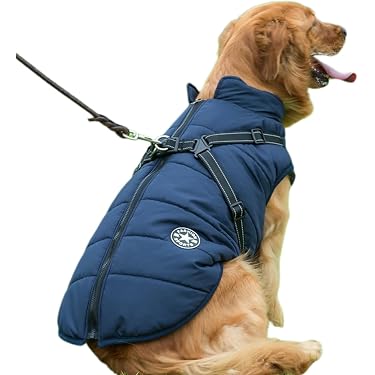 Amazon.co.jp 売れ筋ランキング: 犬用コート・ジャケット の中で最も