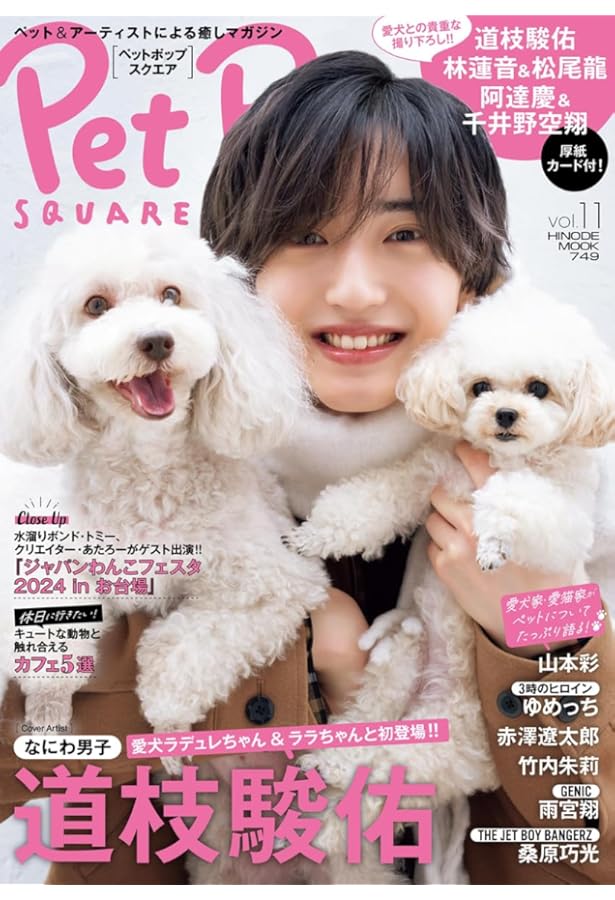 ペットポップスクエア vol.8 [COVER:山田涼介] (HINODE MOOK 715