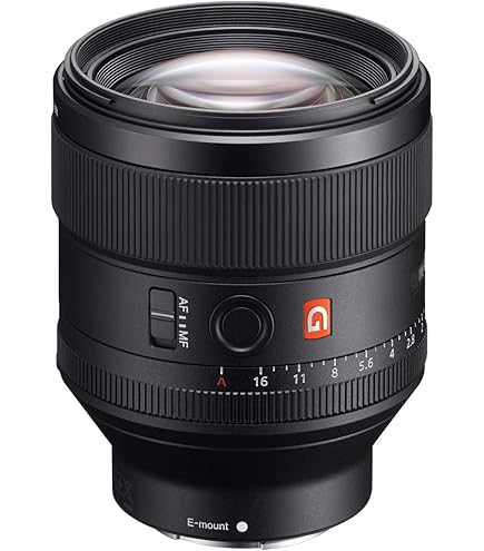 SONY FE 135mm F1.8 GM G Master フルサイズ望遠レンズ