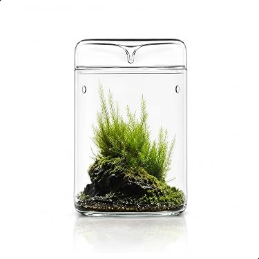 Amazon.co.jp: Bioloark MY-120H ガラスポット 苔テラリウム 容器