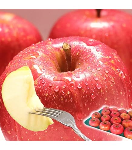 Amazon.co.jp: りんご 10kg箱 サンふじ ご家庭用/訳あり 青森 10キロ箱