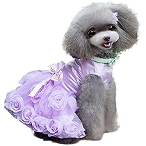 71O8wAvnaEL._AC_UL210_SR210,