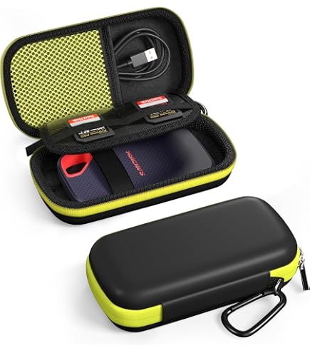 Amazon.co.jp: ケース SanDisk SSD/SanDiskポータブルSSD Portable