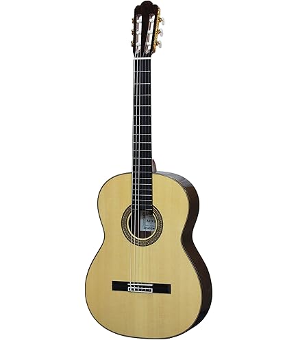 Amazon.co.jp: ASTURIAS（アストリアス） アコースティックギター D