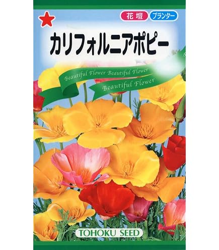 Amazon.co.jp: エスコルチア ミニチュアサンデュー 種 25粒 タネ