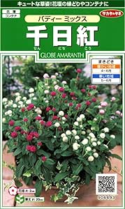 Amazon サカタのタネ 実咲花6493 千日紅 バディー ミックス 10袋セット 花
