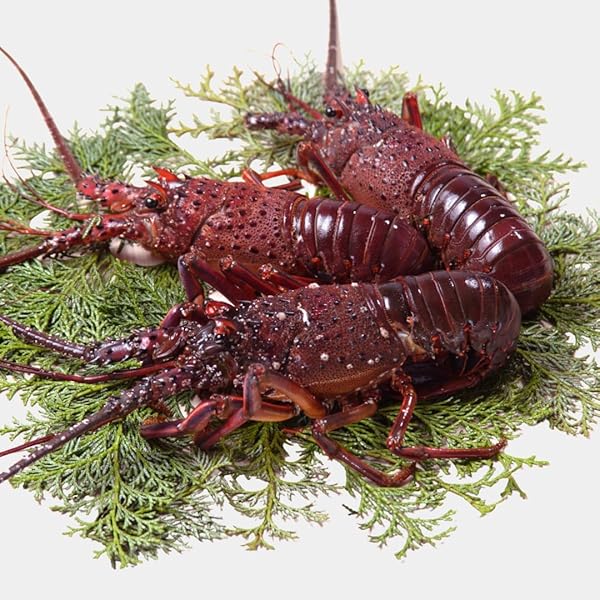 ブロンズ　海老　ロブスター　紙鎮　置物　在銘　約476g　M　R8551 ブロンズ 海老 ロブスター 紙鎮 置物 在銘 約476g M R8551