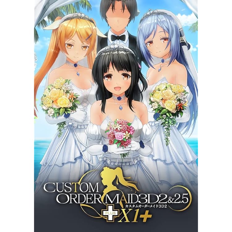 Amazon.co.jp: カスタムオーダーメイド3D2&2.5+ X1改+ : Software