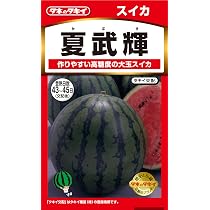 Amazon | タキイ種苗 野菜種 スイカ 紅しずく | 野菜