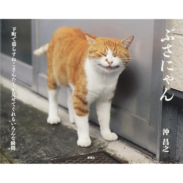 Amazon.co.jp: おどるネコうたうネコ : 沖 昌之: 本