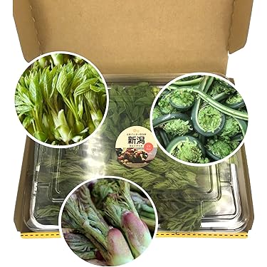 Amazon.co.jp 売れ筋ランキング: たらの芽 の中で最も人気のある