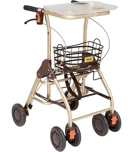 Amazon | 幸和製作所 歩行車 HS05R テイコブリトルR ブラック | 幸和