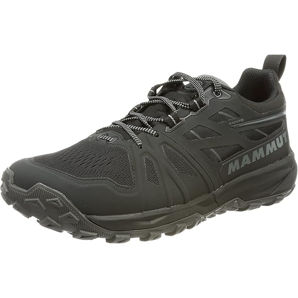 Amazon | [Mammut] センティス ロー ゴアテックス メンズ/Saentis Low 