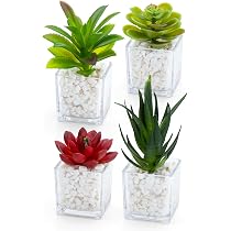 Amazon｜October1st フェイクグリーン 観葉植物 人工 4点セット 人工