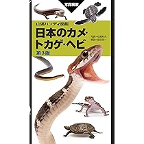 亀ページ 定番の日本の爬虫類図鑑が刷新。ヨウリンウミヘビなど近年の新規
