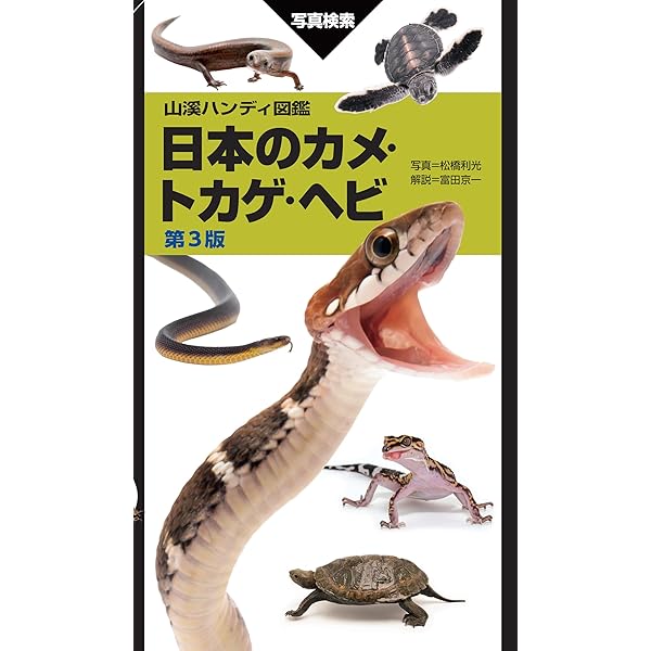 山溪ハンディ図鑑 増補改訂 日本のカメ・トカゲ・ヘビ | 富田 京一
