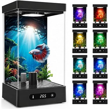 Amazon.co.jp 最新リリース: 金魚鉢 の新着ランキングです。