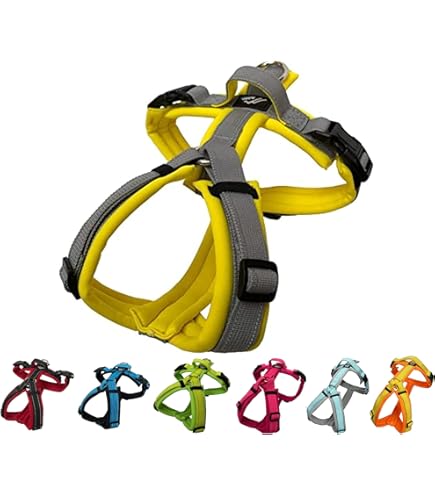 フリースラインドハーネス　サイズ 5 Amazon | Perfect Fit Harness パーフェクトフィットハーネス MS