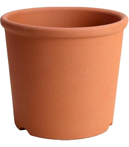 Amazon.co.jp: 鉢 KANEYOSHI 【日本製/安心の国産品質】 陶器 植木鉢