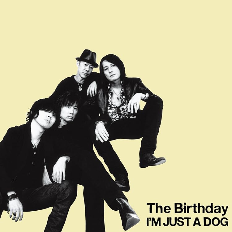 Amazon.co.jp: VISION - The Birthday: ミュージック