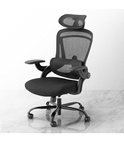 Amazon.co.jp: Hara Chair ハラチェア ニーチェ 《標準モデル