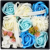 71ObYNIV9YL._AC_UL210_SR210,