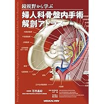 鏡視野から学ぶ 婦人科骨盤内手術解剖アトラス【電子版付】［Web動画付