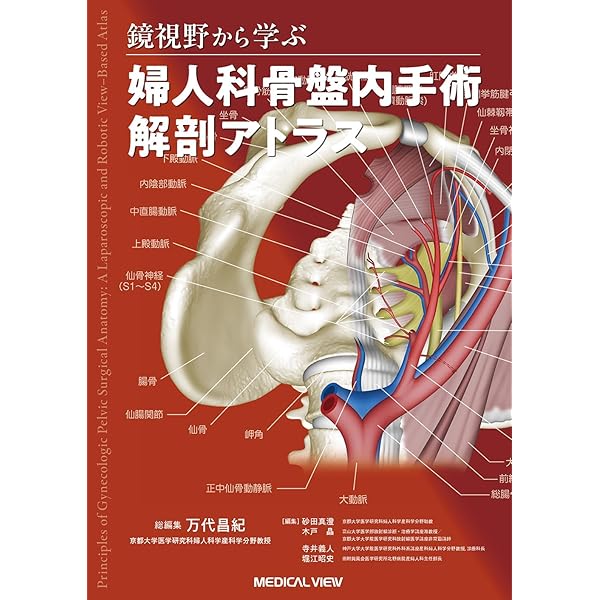 カラーアトラス 図解 広汎性腹式子宮全摘出術 新版 産婦人科手術
